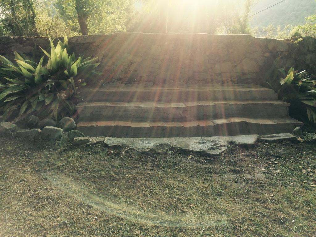 Mas Els Terrats Konuk evi Susqueda Dış mekan fotoğraf