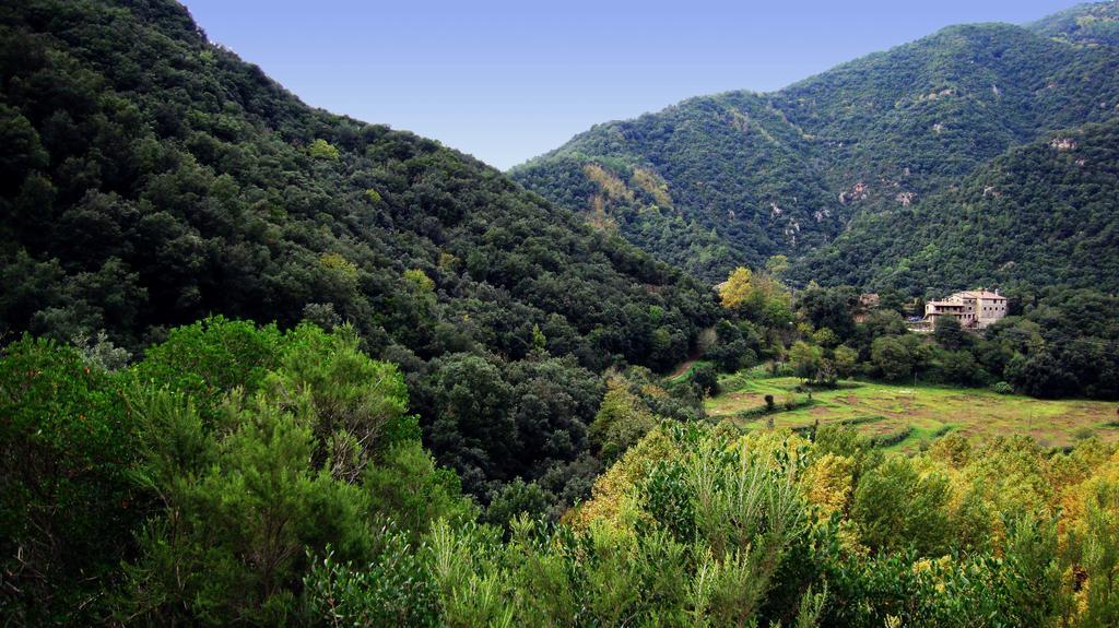 Mas Els Terrats Konuk evi Susqueda Dış mekan fotoğraf
