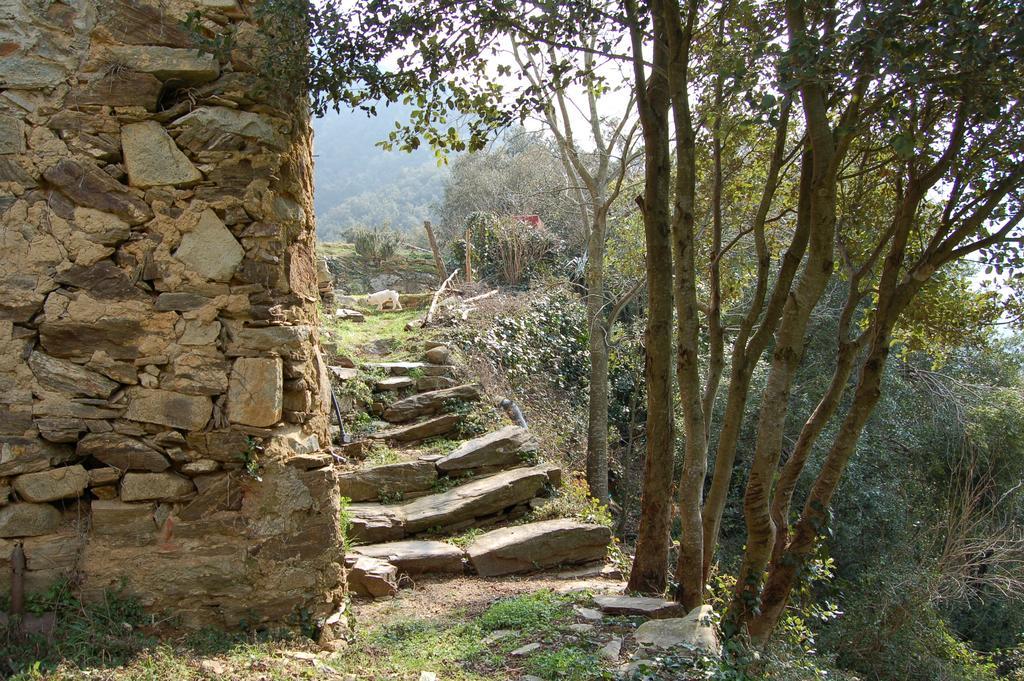 Mas Els Terrats Konuk evi Susqueda Dış mekan fotoğraf