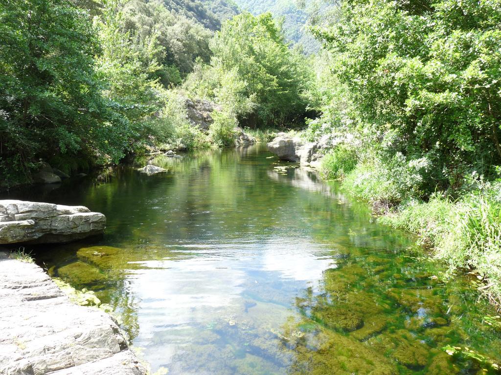 Mas Els Terrats Konuk evi Susqueda Dış mekan fotoğraf
