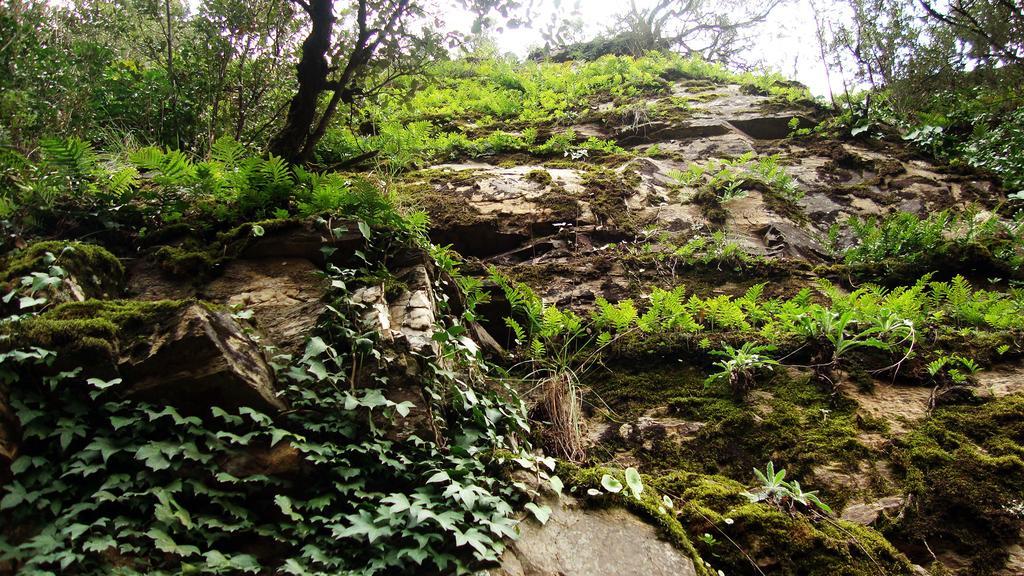 Mas Els Terrats Konuk evi Susqueda Dış mekan fotoğraf