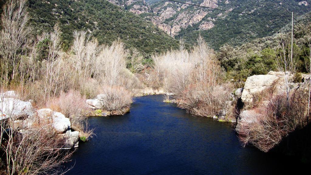 Mas Els Terrats Konuk evi Susqueda Dış mekan fotoğraf