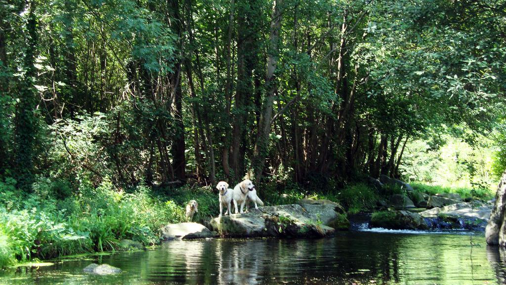 Mas Els Terrats Konuk evi Susqueda Dış mekan fotoğraf